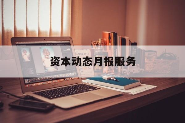 资本动态月报服务(资金月报表操作流程)邯郸市
