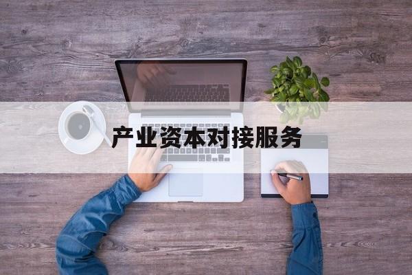 产业资本对接服务(产业资本对接服务包括哪些)邯郸市